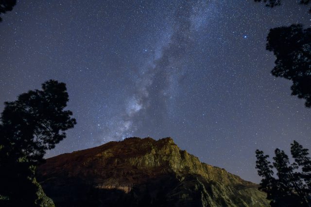 PINAR DE TAMADABA. ARTENARA. GRAN CANARIA