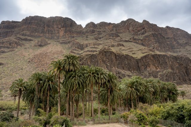 FATAGA. SAN BARTOLOME DE TIRAJANA. GRAN CANARIA