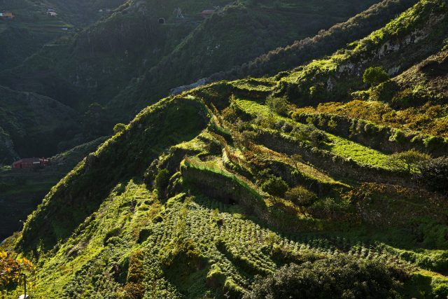 07. Agricultura