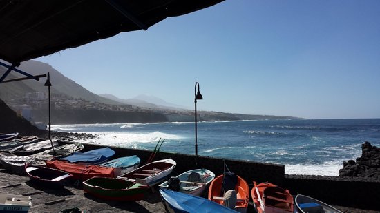 11. Pesca y Ganadería (obtenida de internet)