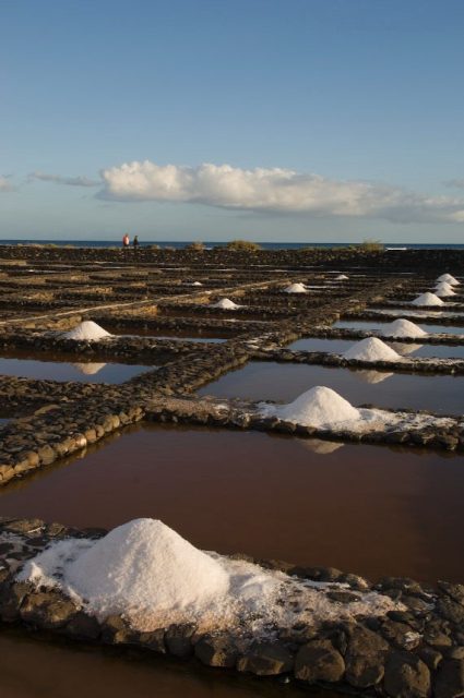 Salinas